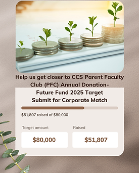 Fundraising Tracker UI Instagram Post (1).png