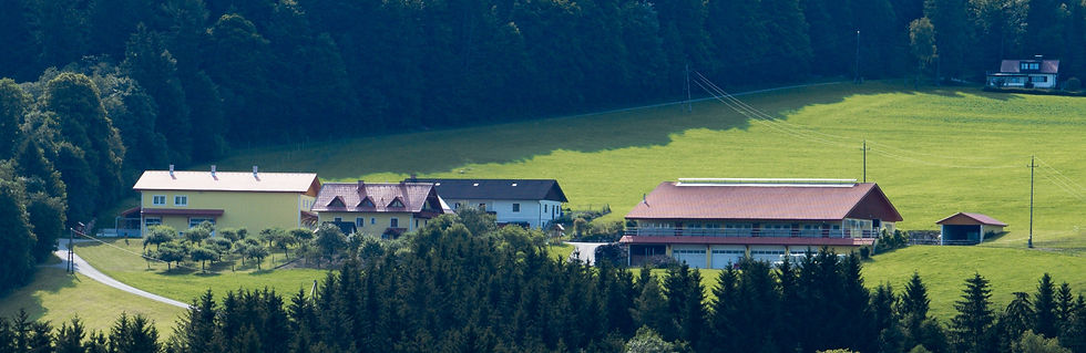 DSC01654.jpg
