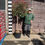Thumbnail: Red Robin standard 6.6ft 