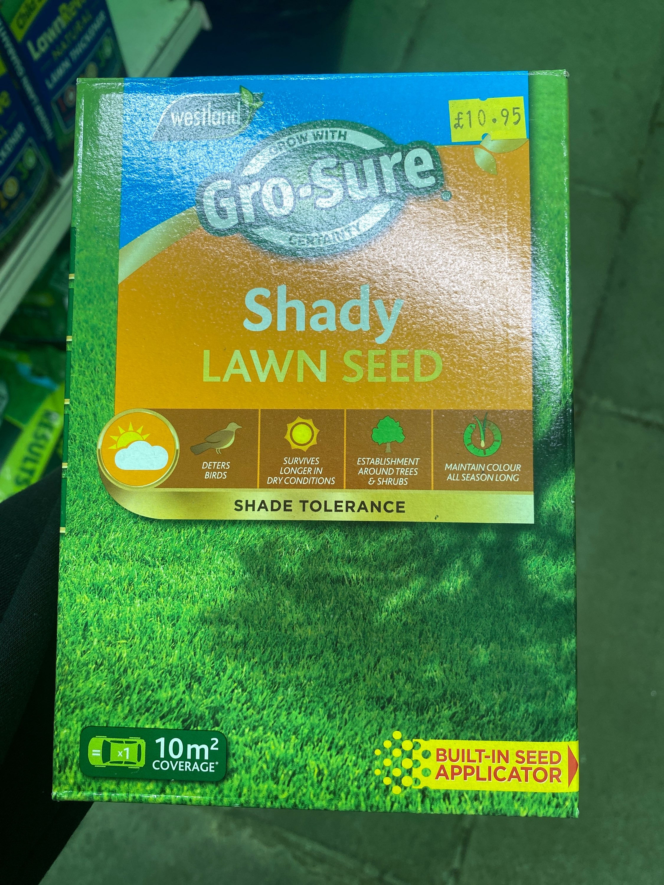 Lawn Seed