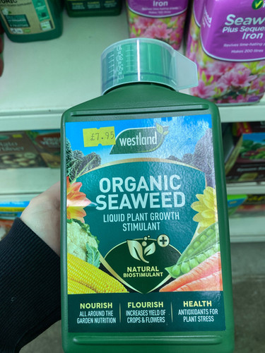 Seaweed Organic Plant Feed | Little Lodge GC