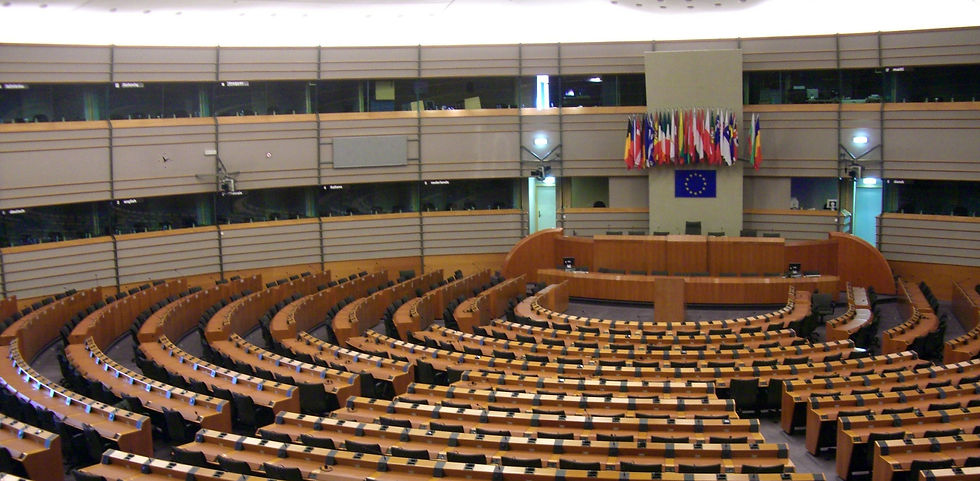 مسؤولية المرأة السعودية والسياسة والوطن 