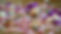 DSC04732.JPG