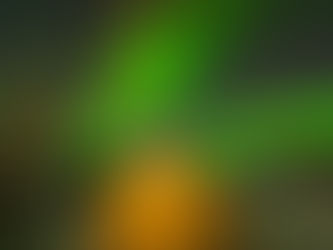 مواجهة التحديات خلال ملاحقة الأحلام