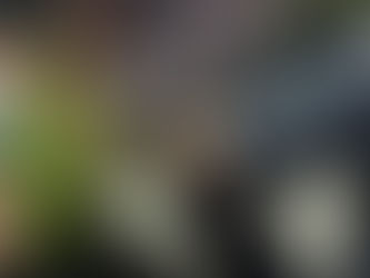 Leviasynth Design Story | Interview by Mylar Melodies