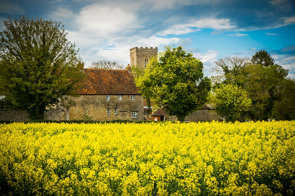 Home Grafton Regis Village
