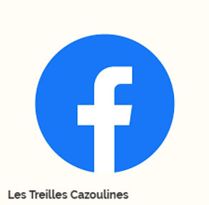 sigle Facebook