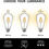 Thumbnail: Berelli 6-PACK LED Edison Light Bulbs - ST64 - 6W (60W Equivalent) - E26 Base -