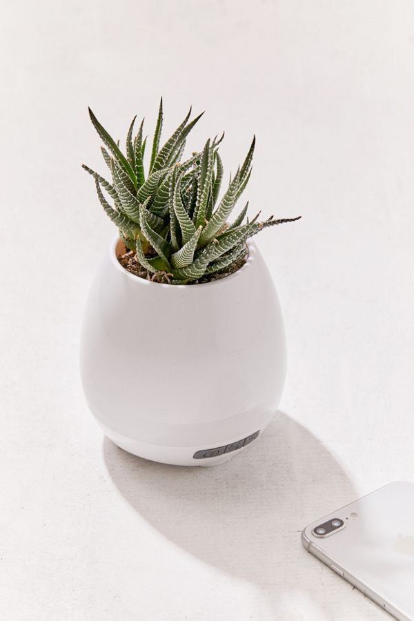 planter bluetooth speaker urban outfitters nature plants music sound gifts holiday 2018  spotify apple 