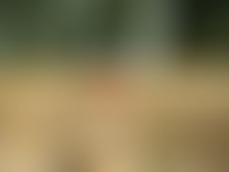 mekar pertanian petani indonesia manu