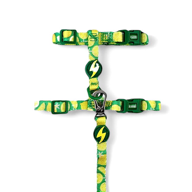 Pettorina gatto antifuga con guinzaglio Eco Rio Dashi