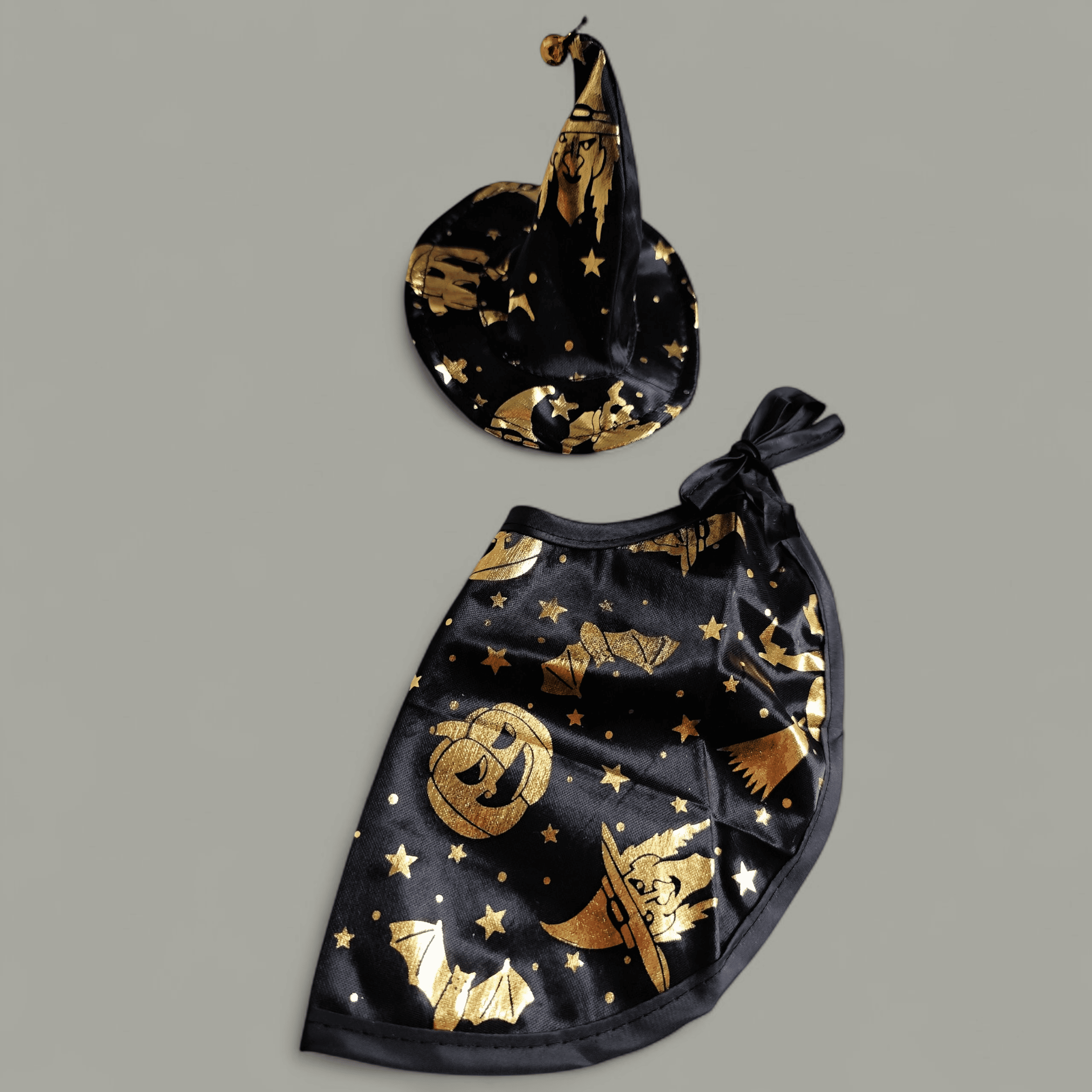 Il costume Halloween per cani e gatti con capello e mantello stregato