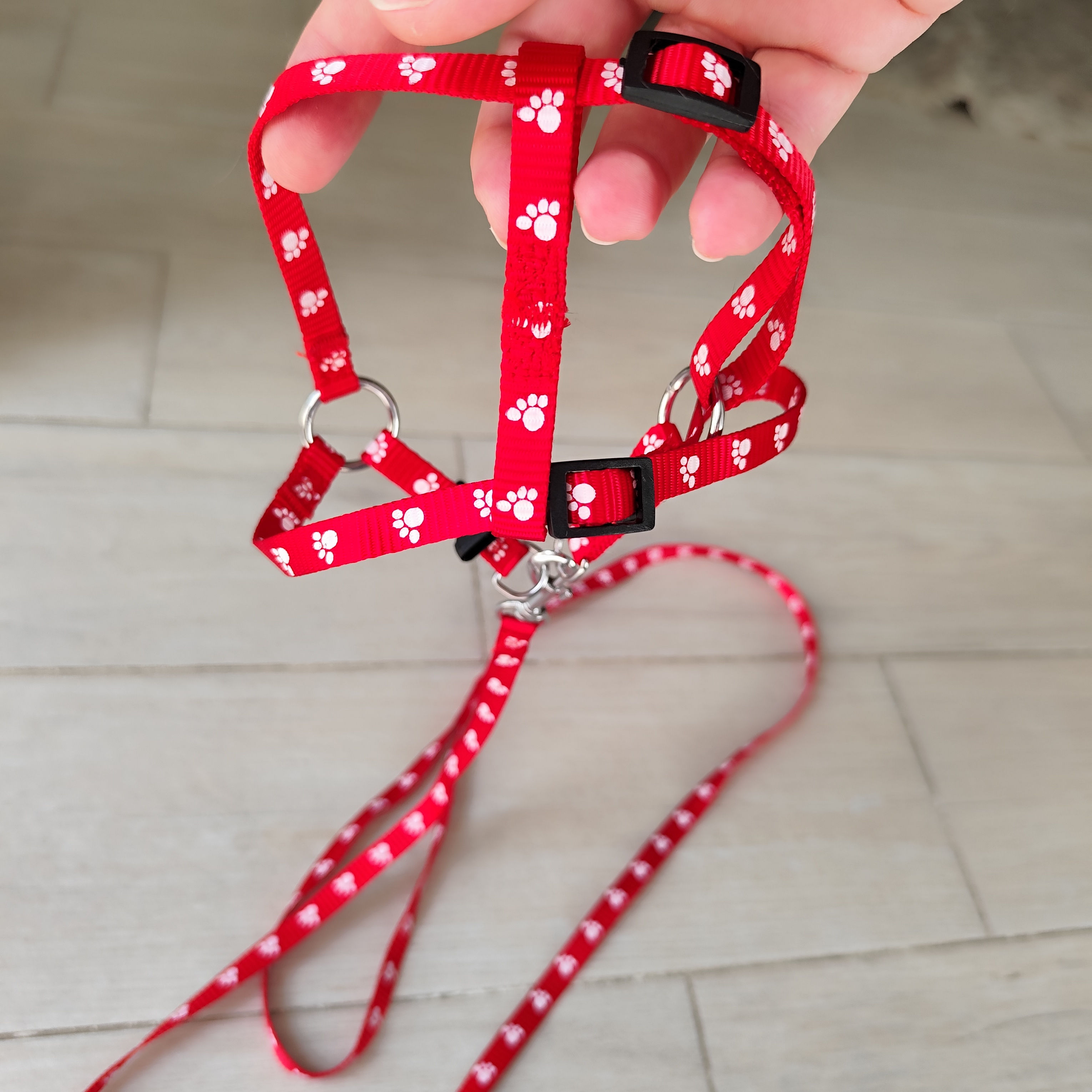 Pettorina regolabile per gatto rossa design zampetta