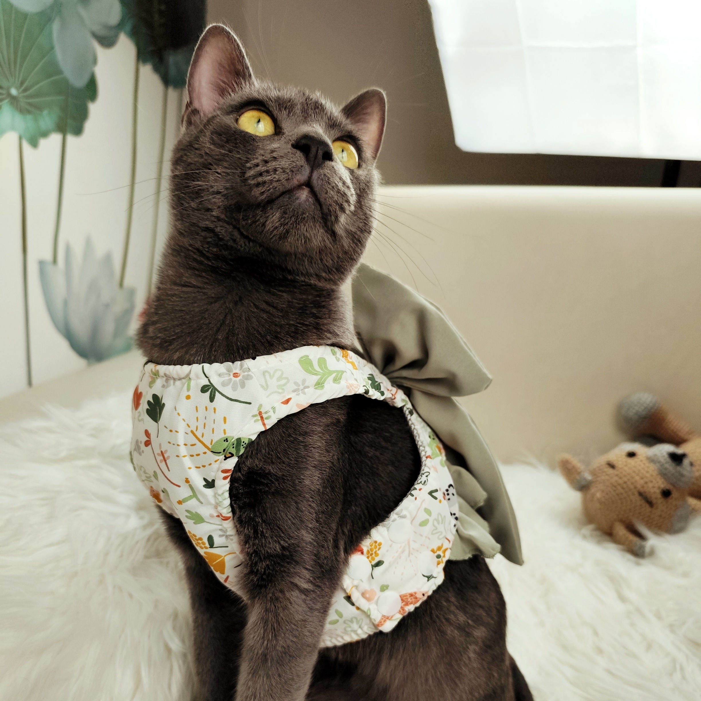 Pettorina elegante con fiocco + guinzaglio per cane o gatto