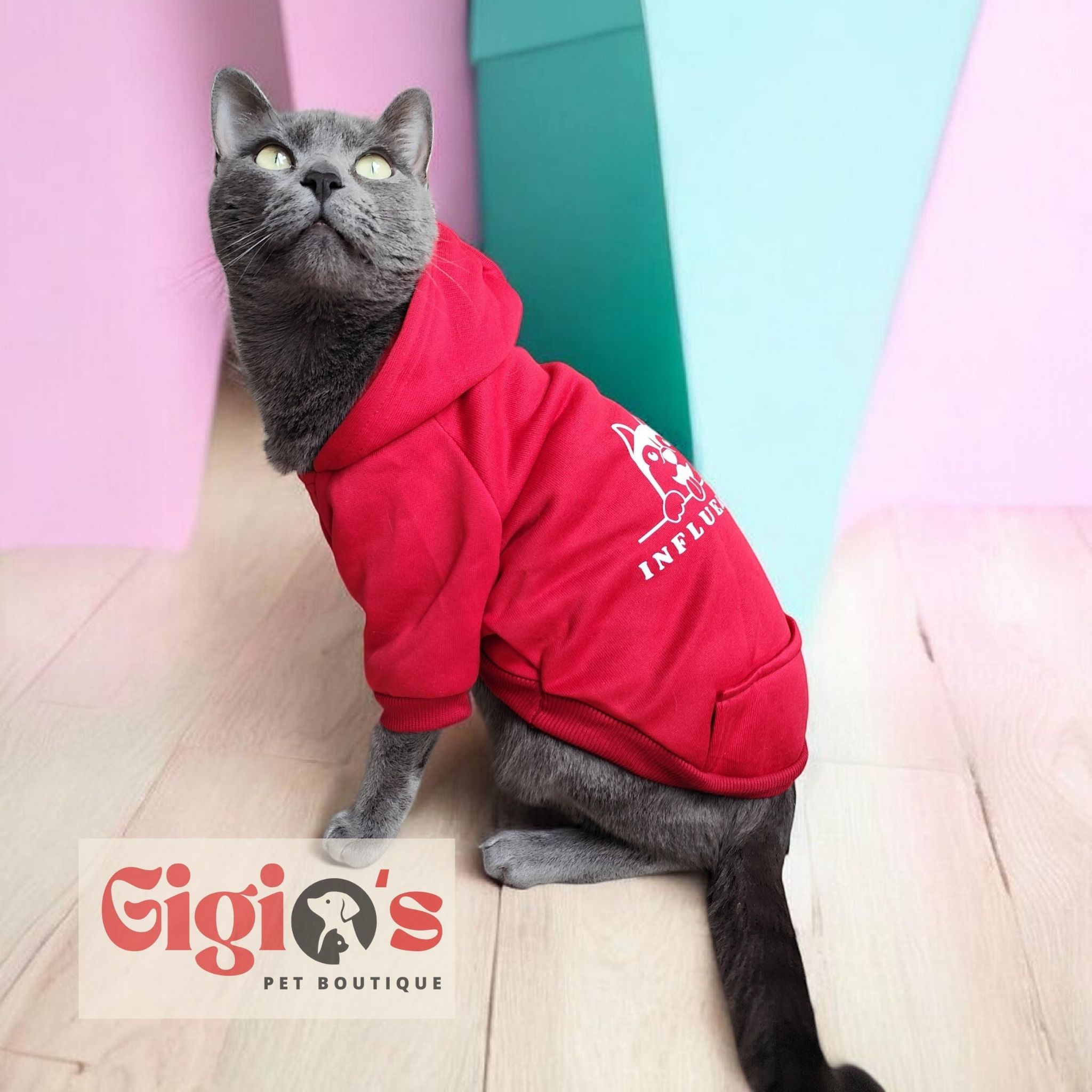 Felpa maglione per gatti e cani piccola taglia Influencer indossata dal testimonial Gigio