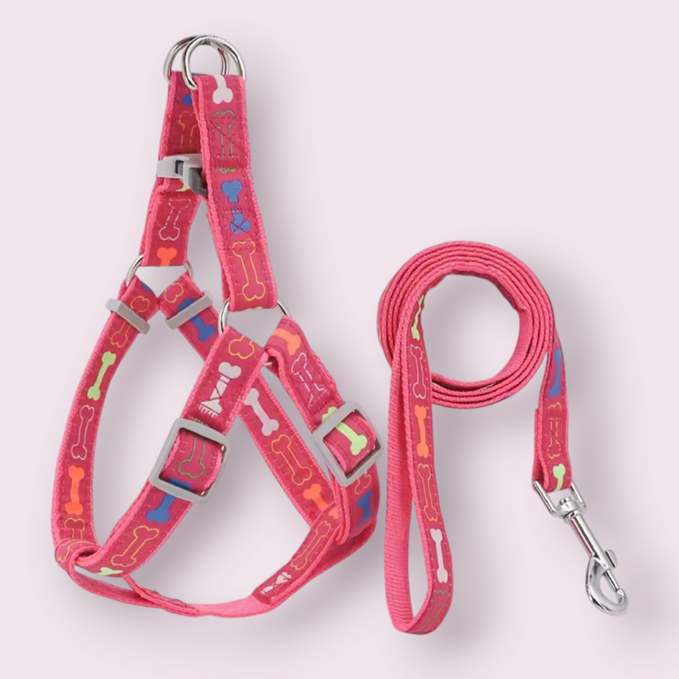 Pettorina con guinzaglio per Cani Taglia L Design Ossi