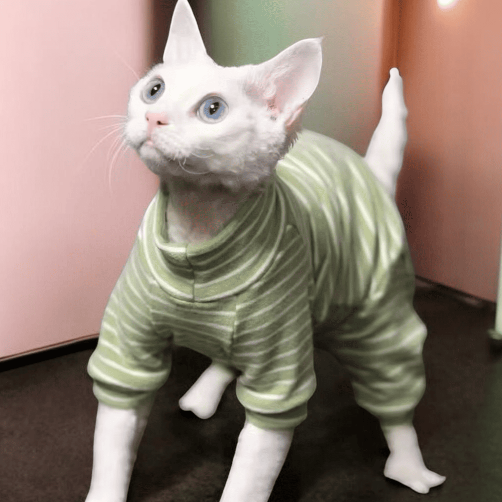 Maglietta Tuta post-sterilizzazione per gatto Vestiti per gatti adatta anche per Sphinx