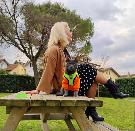 Gigetto: il vero boss dietro Gigio’s Pet Boutique