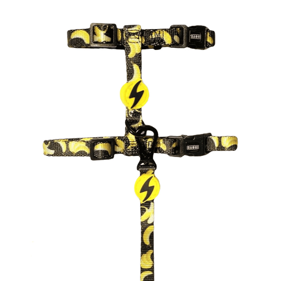 Pettorina gatto antifuga con guinzaglio della collezione Eco Fruity Banana