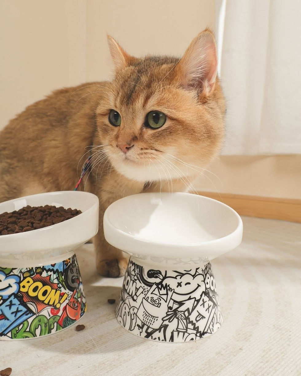 Ciotola per gatto rialzata in ceramica m-pets