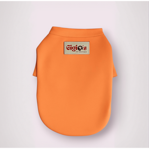Abbigliamento Elegante per Cani di Lusso Abbigliamento Elegante per Cani di Lusso