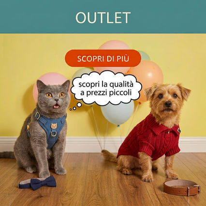 Immagine di un cane e un gatto stupiti dei prezzi outlet pet