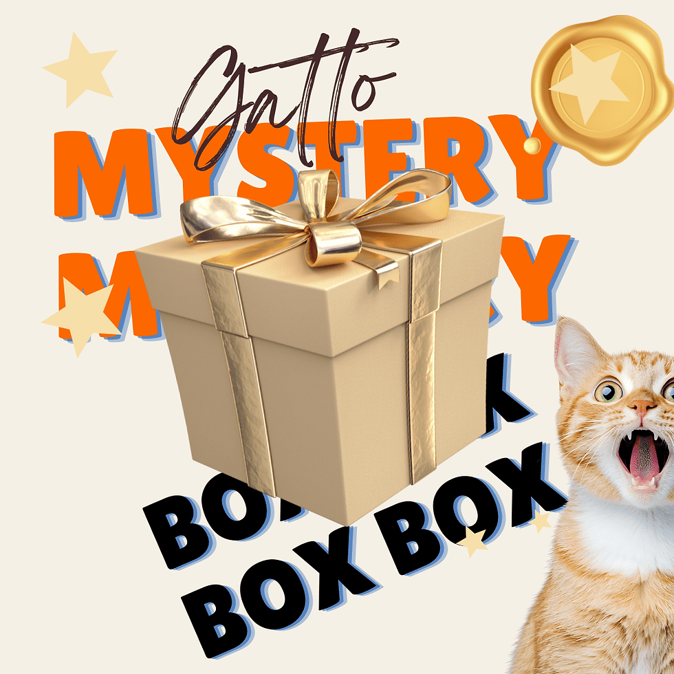 Una mystery box per gatto di Gigio's, scatola con sorprese per gatti