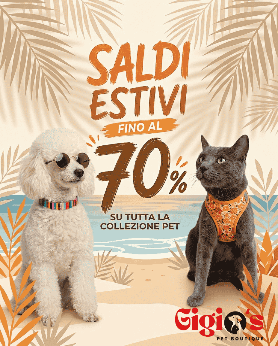 Un cane felice che corre sulla spiaggia indossando una pettorina colorata durante il tramonto estivo.