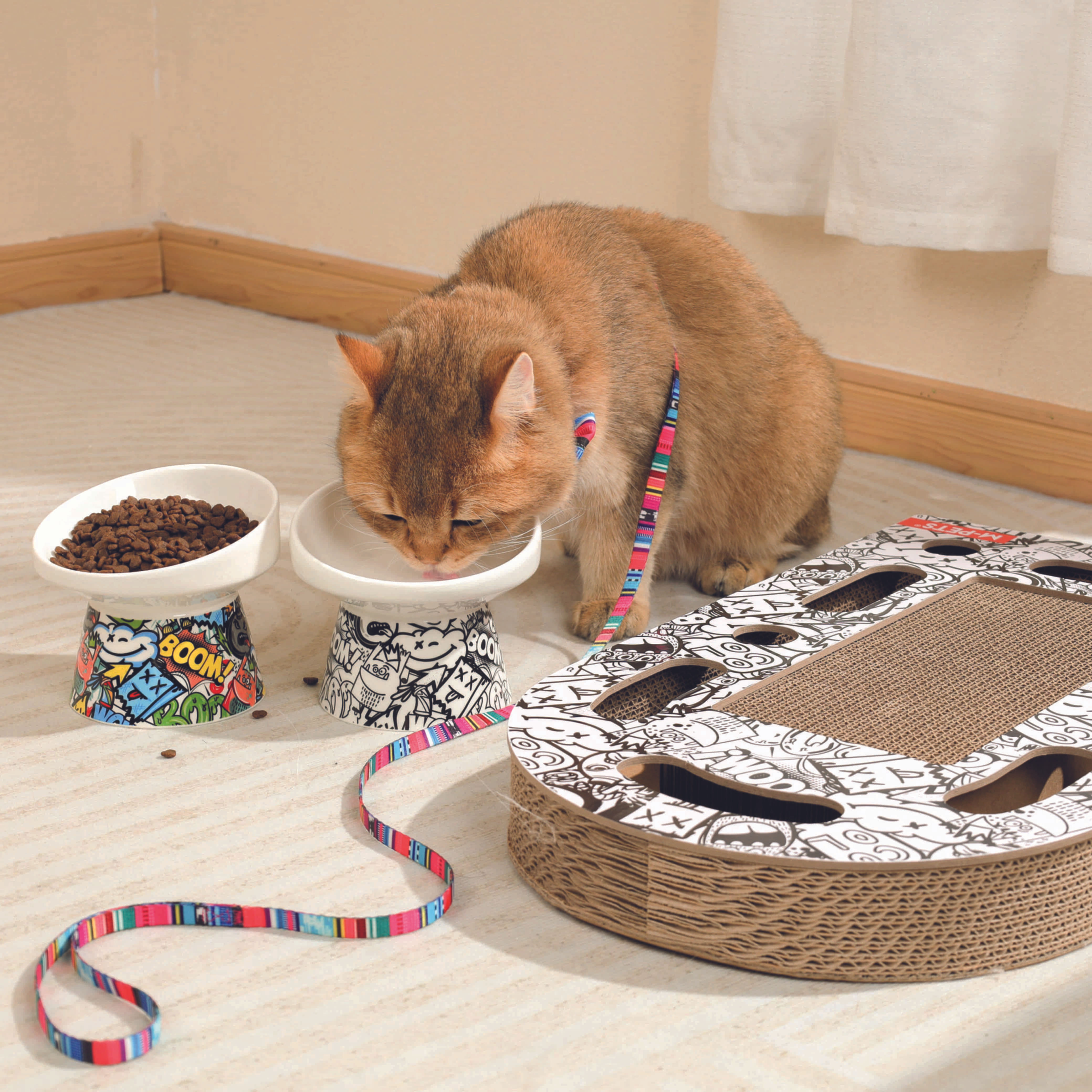 Gatto che mangia dalla ciotola Gatto Rialzata in Ceramica | M-PETS disponibile in due colori