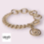 Collare catena per cani Liu-jo Pets colore oro