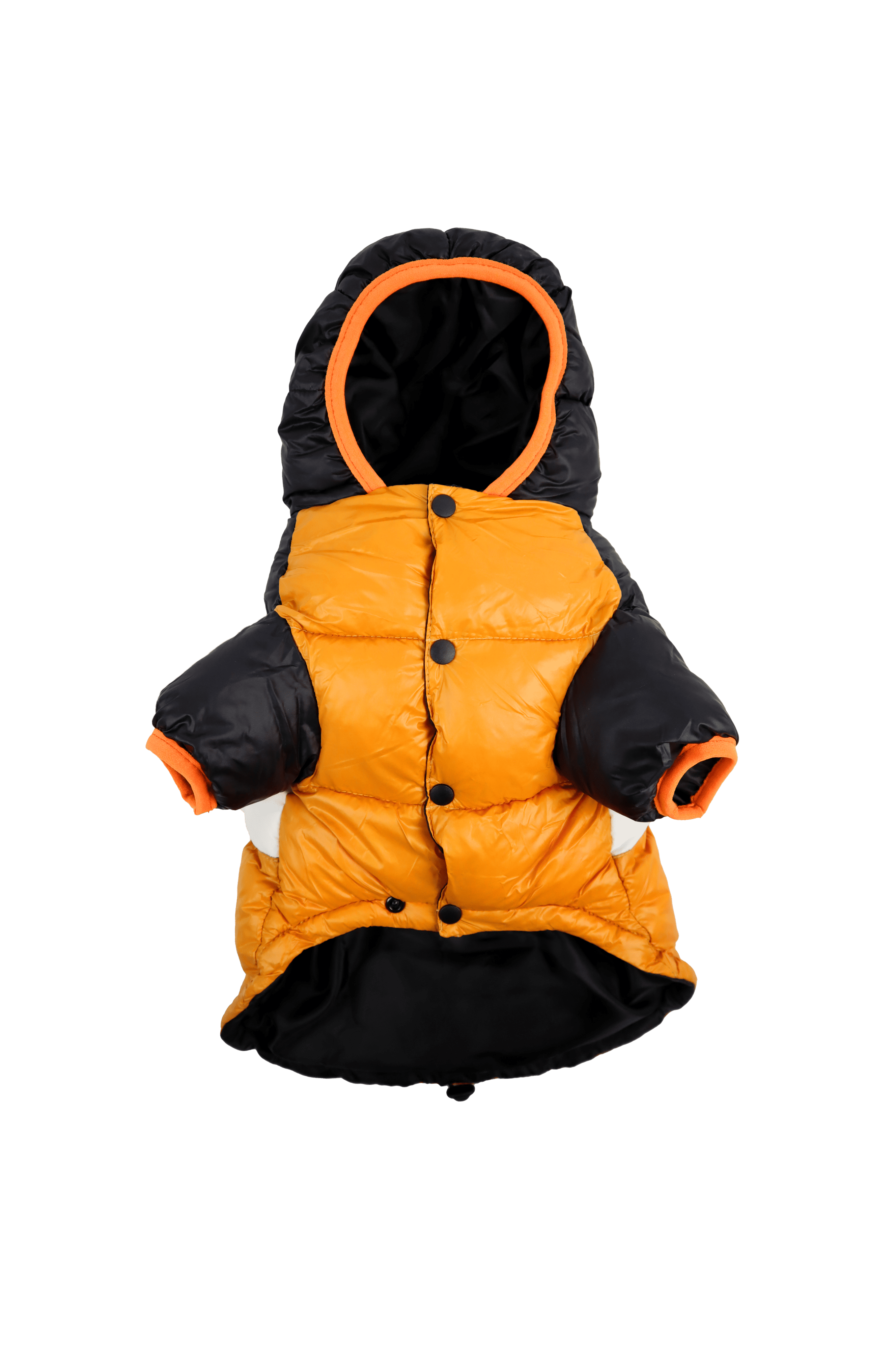 Giubbotto per cane Giacca a vento Anorak cani Dashi Stripes focus avanti