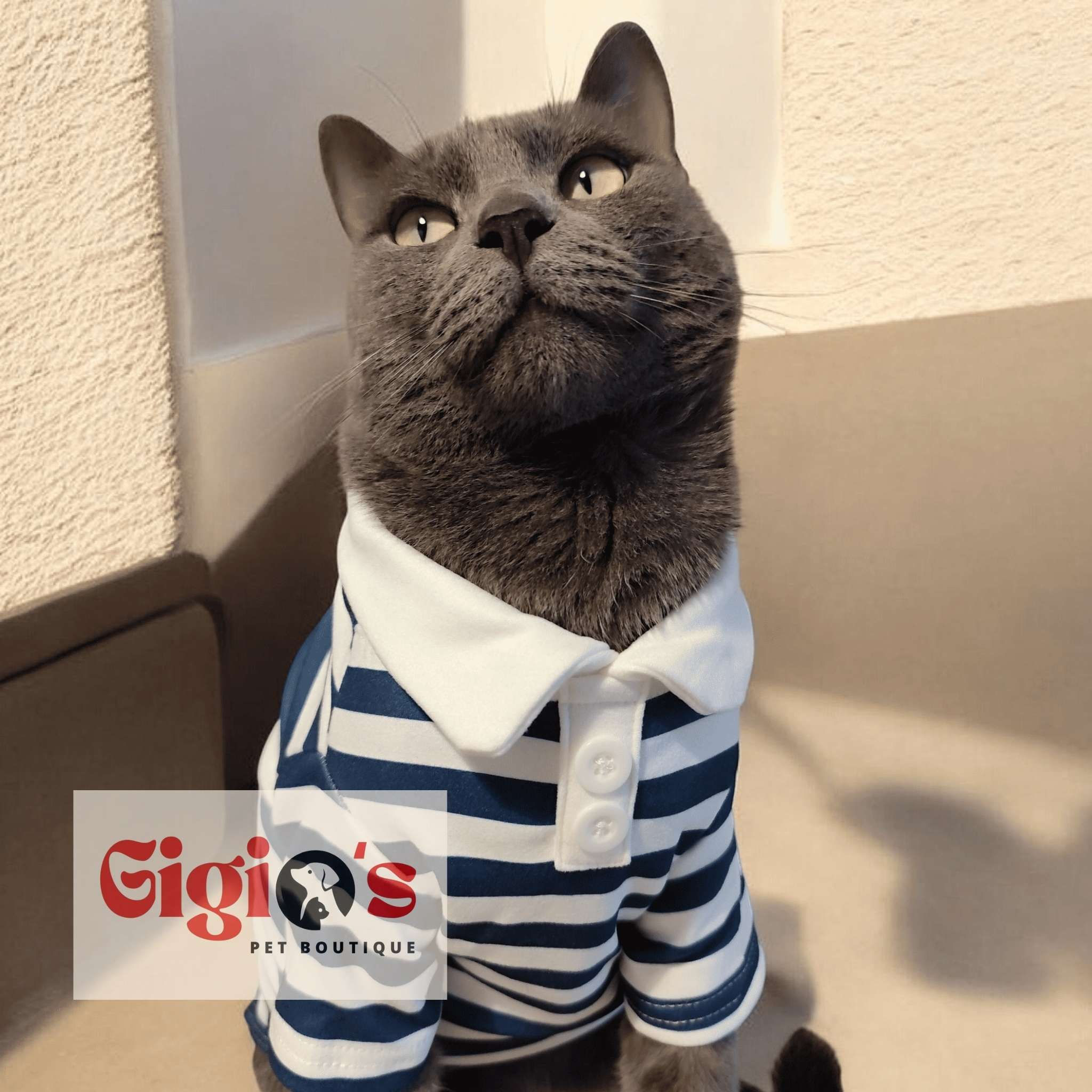 Maglietta polo a righe per gatti e cani di  piccola taglia