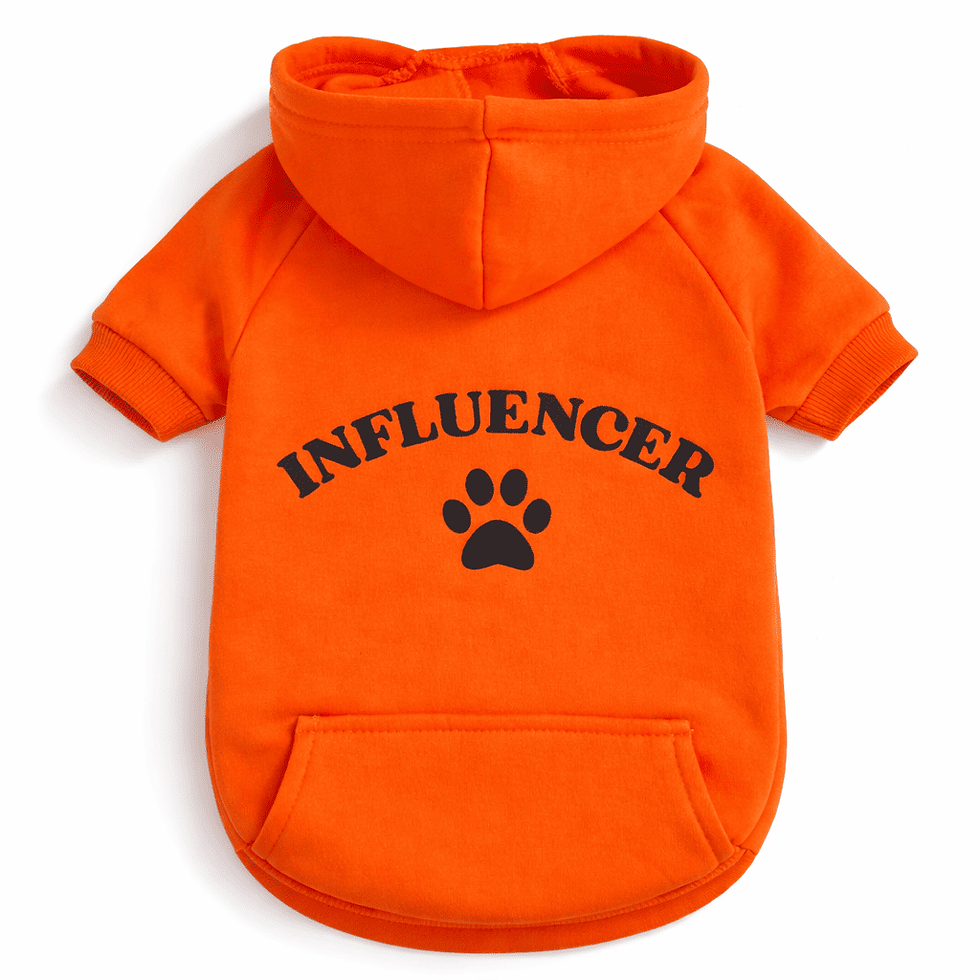 Felpa maglietta per cane o gatto Influencer