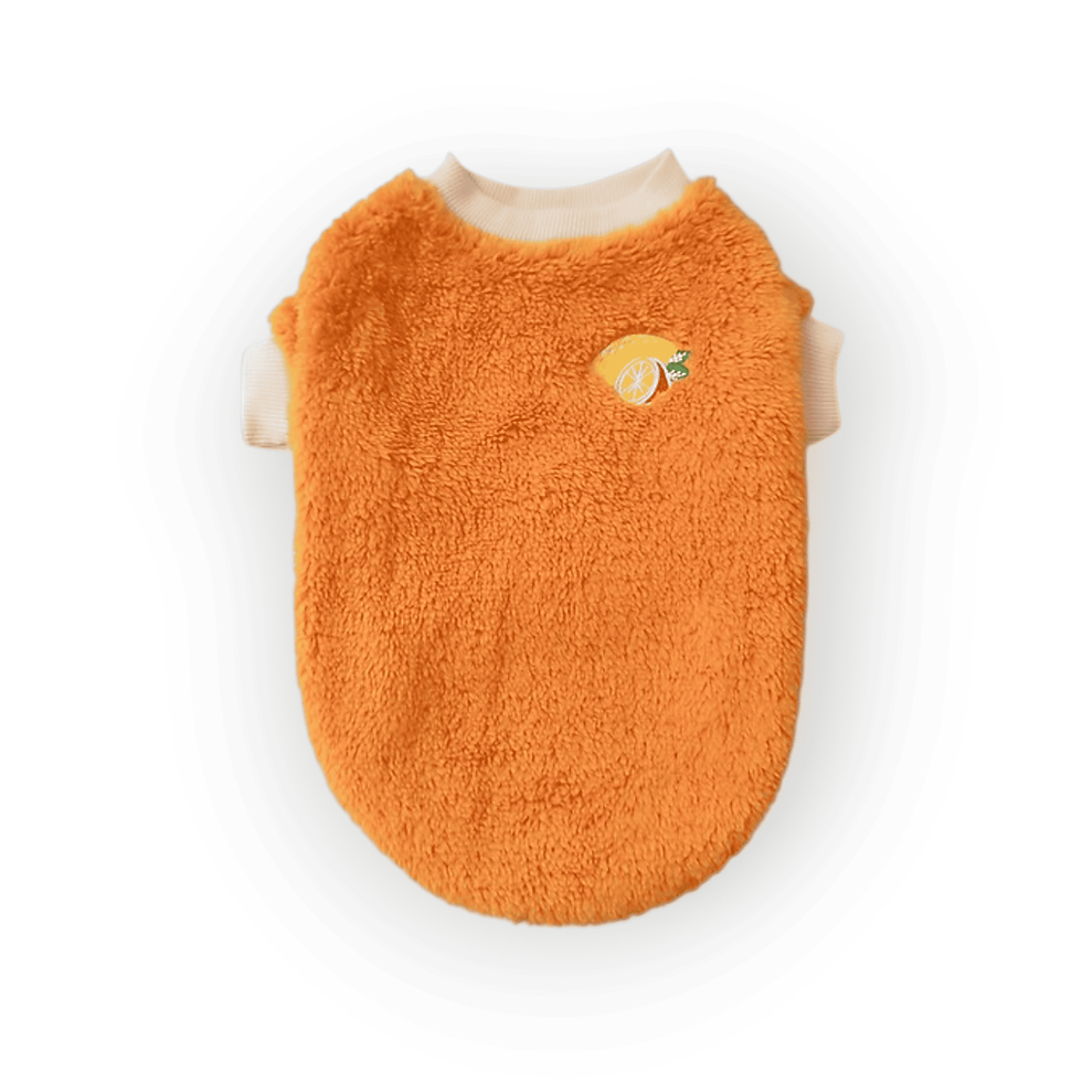 Maglione felpa per cani e gatti design Orange vista da dietro