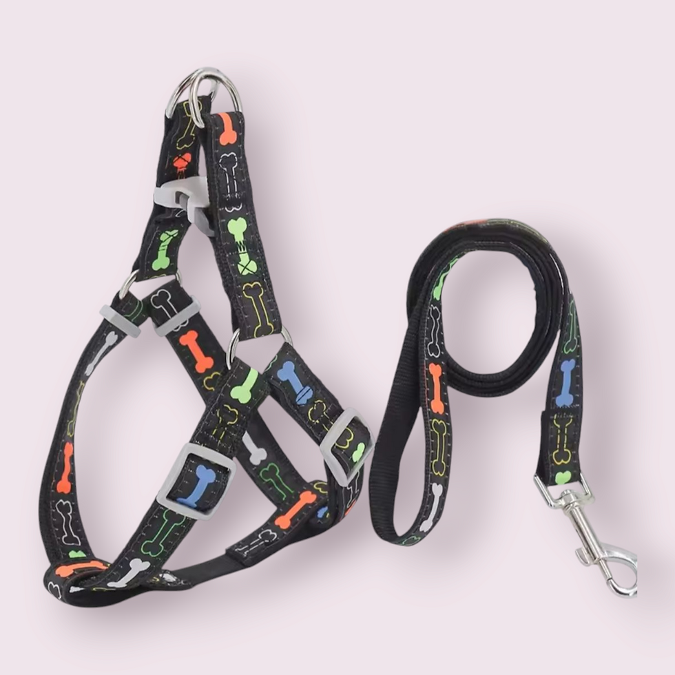 Pettorina nera con guinzaglio per Cani Taglia L Design Ossi