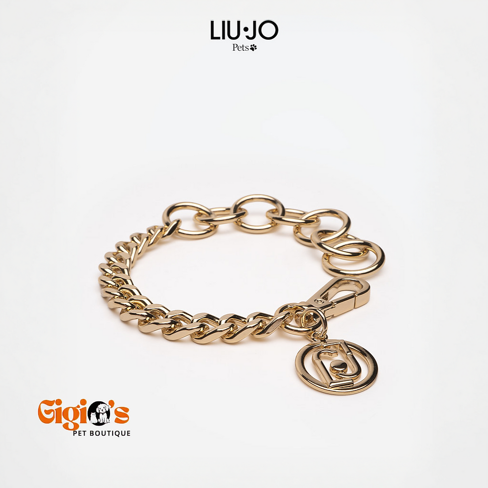 Immagine di collare catena per cane Liu-jo Pets colore oro