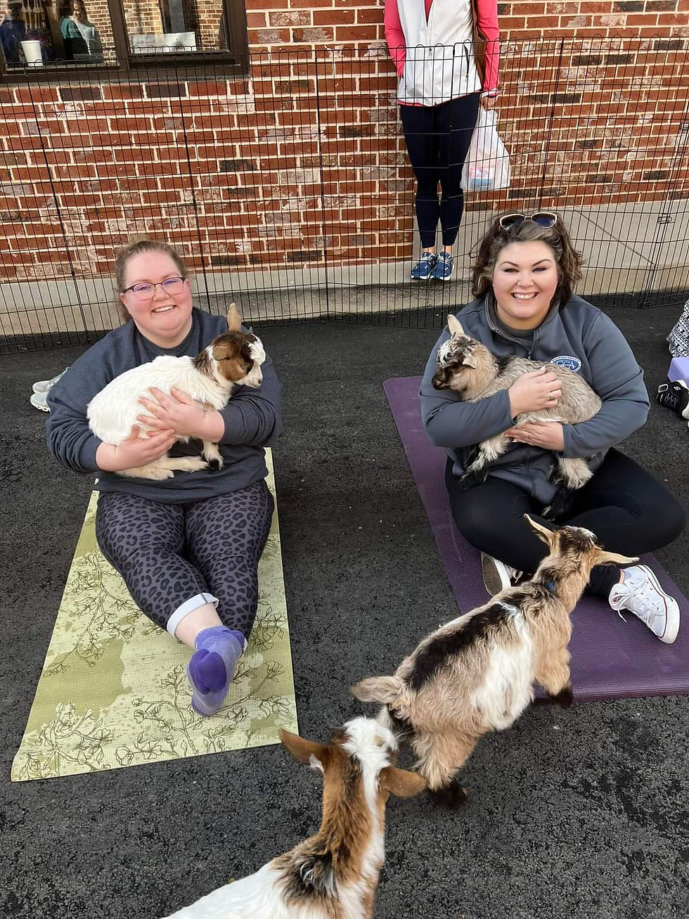 Pet-A-Goat Yoga