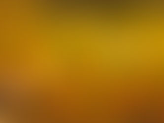 Zilvermos - 13 april 2020