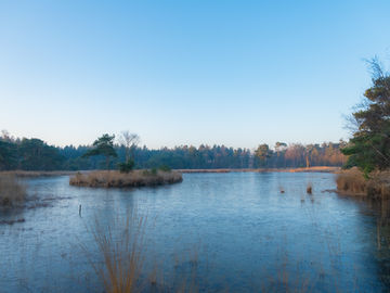 Voor de storm - 10 februari 2020