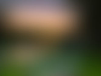 Terug in de tijd, 3 februari 2021