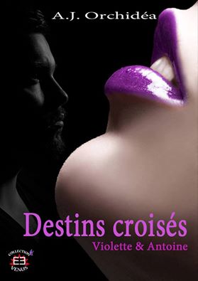 Destins croisés: Violette et Antoine