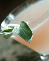 Food Photography and Editing