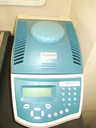 PCR.jpg