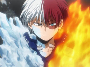 Some Interesting Facts to Introduce You With Shoto Todoroki