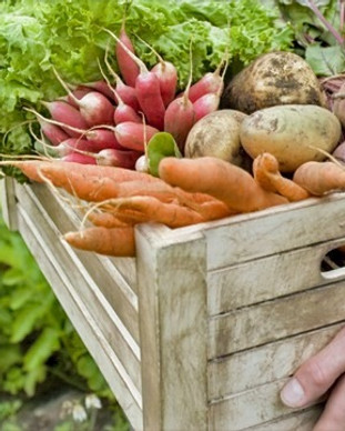 Crate%20of%20Vegetables_edited.jpg