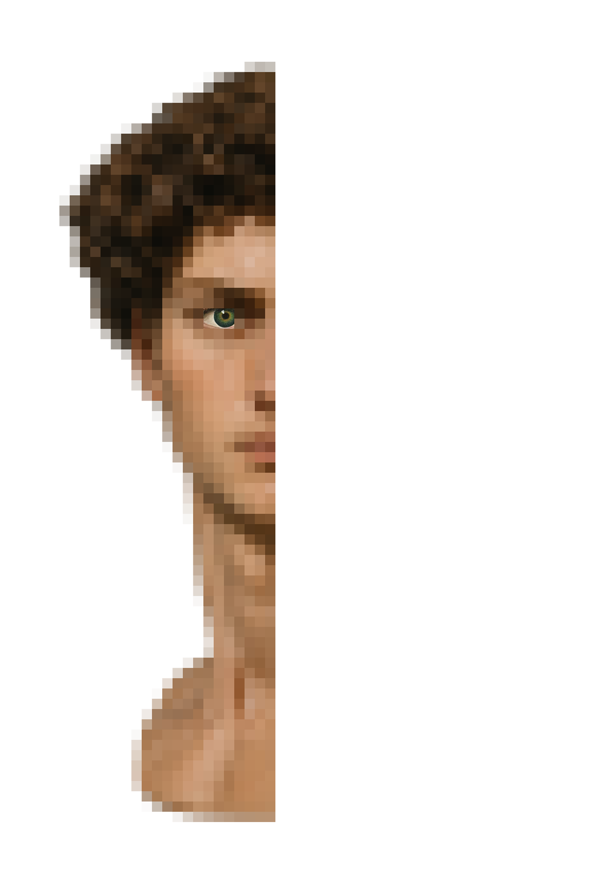 Website_David_Half-Face_Left.png