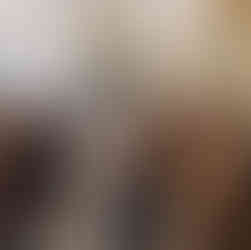 InterContinental Willard wedding Washington DC ballroom