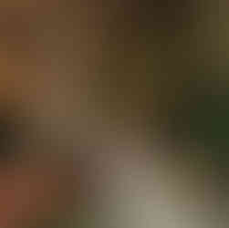 Historic Willard Hotel wedding ceremony DC