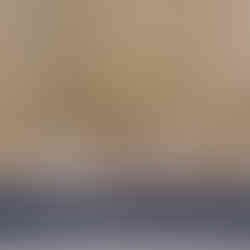 Historic Willard Hotel wedding ceremony DC