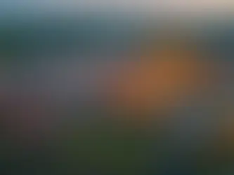 How to Elevate Your User-Generated Content Strategy with AI: A Step-by-Step Guide for You